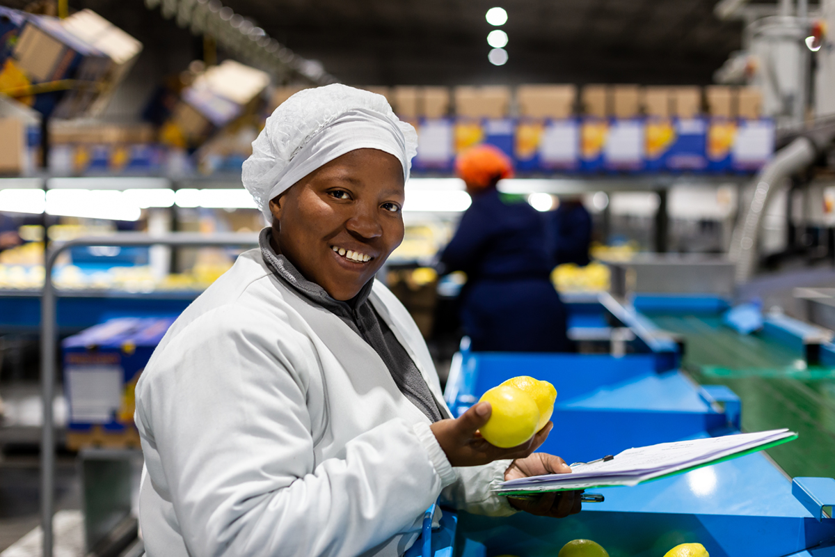 boomshak-marketing-production-portraits-photography-freshco-freshgro-citrus-addo-corporate-00001