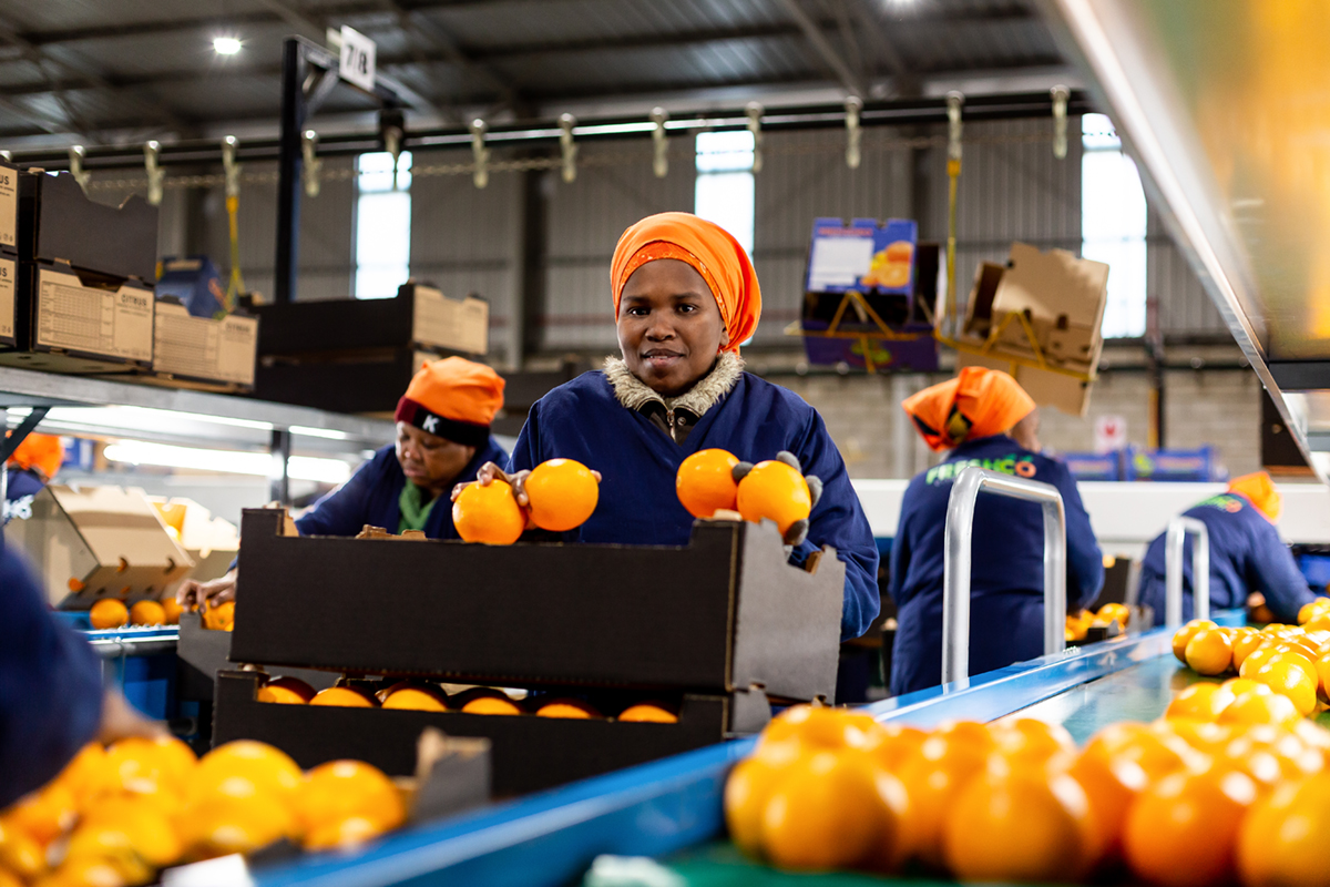 boomshak-marketing-production-portraits-photography-freshco-freshgro-citrus-addo-corporate-00006