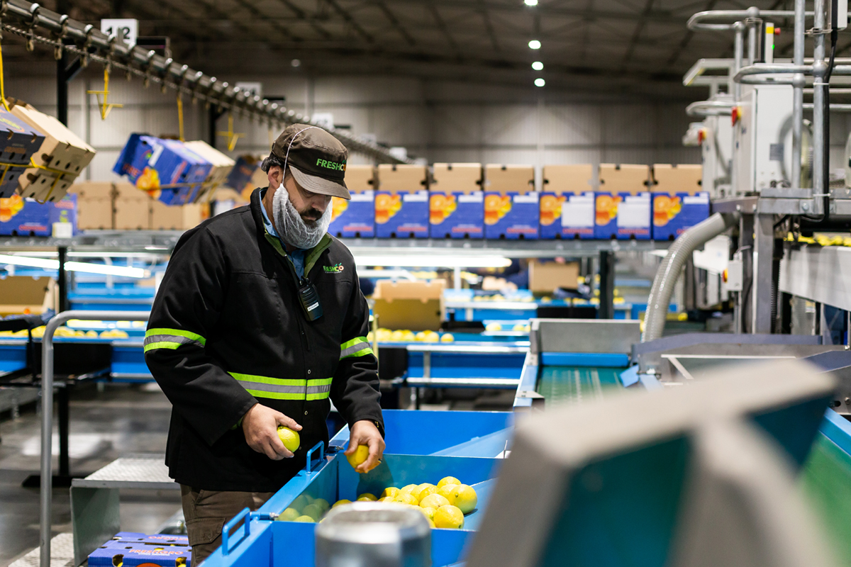 boomshak-marketing-production-portraits-photography-freshco-freshgro-citrus-addo-corporate-00008