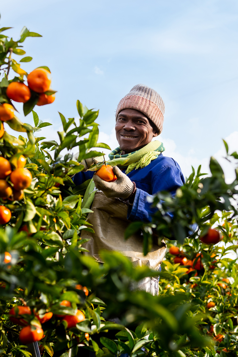 boomshak-marketing-production-portraits-photography-freshco-freshgro-citrus-addo-corporate-00019