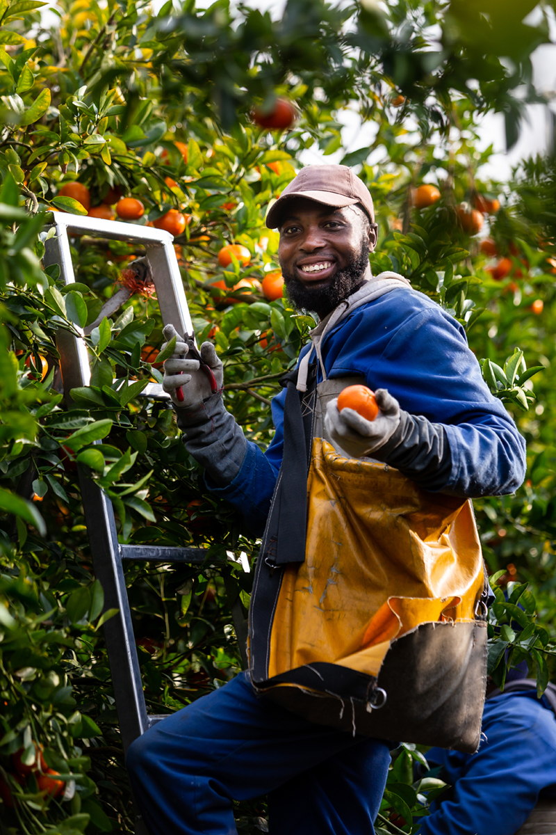 boomshak-marketing-production-portraits-photography-freshco-freshgro-citrus-addo-corporate-00020