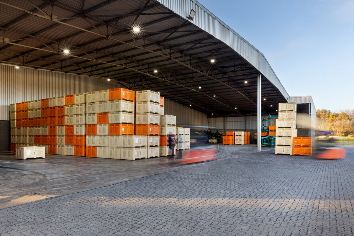 boomshak-marketing-production-video-photography-freshco-freshgro-citrus-addo-corporate-00006