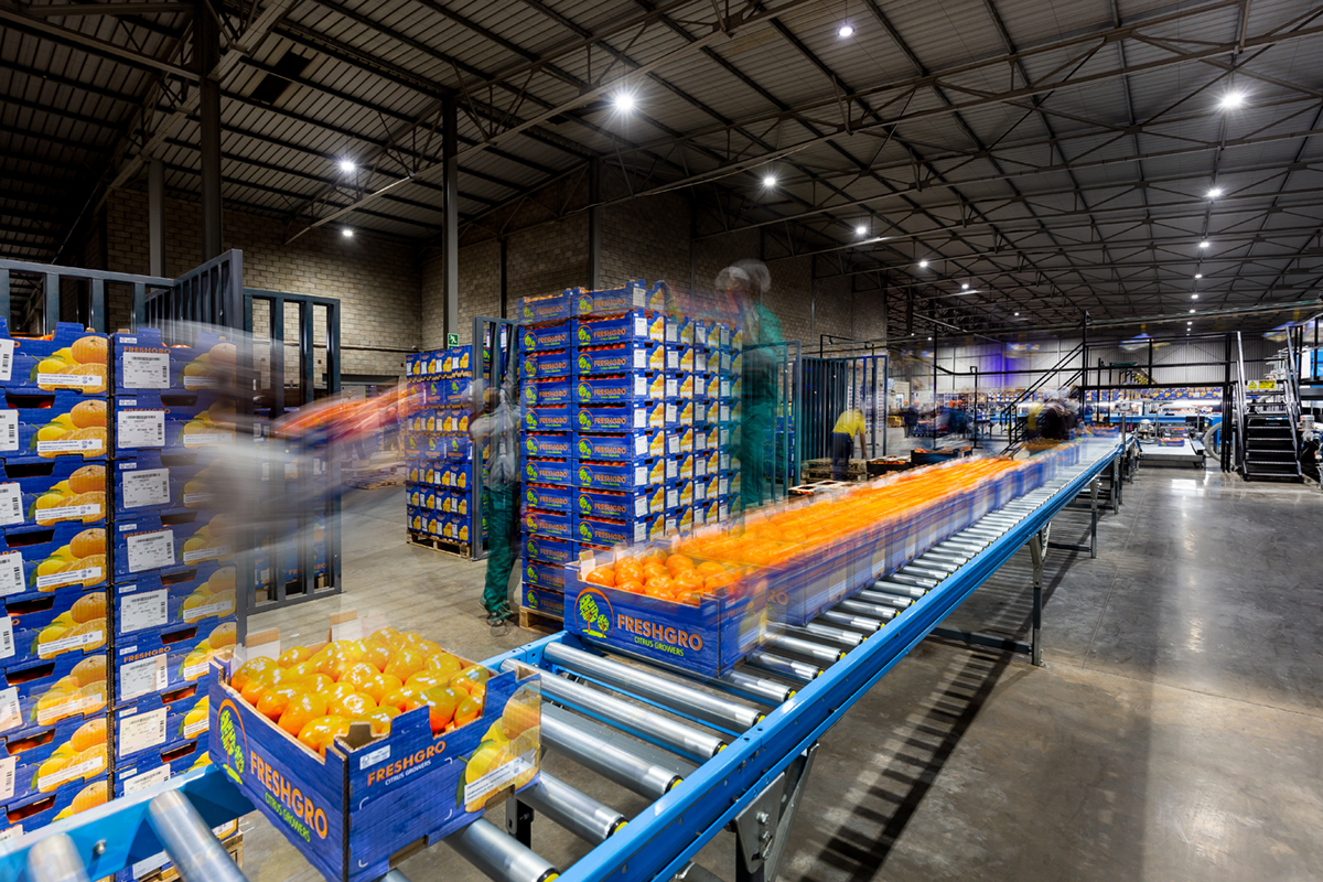 boomshak-marketing-production-video-photography-freshco-freshgro-citrus-addo-corporate-00010