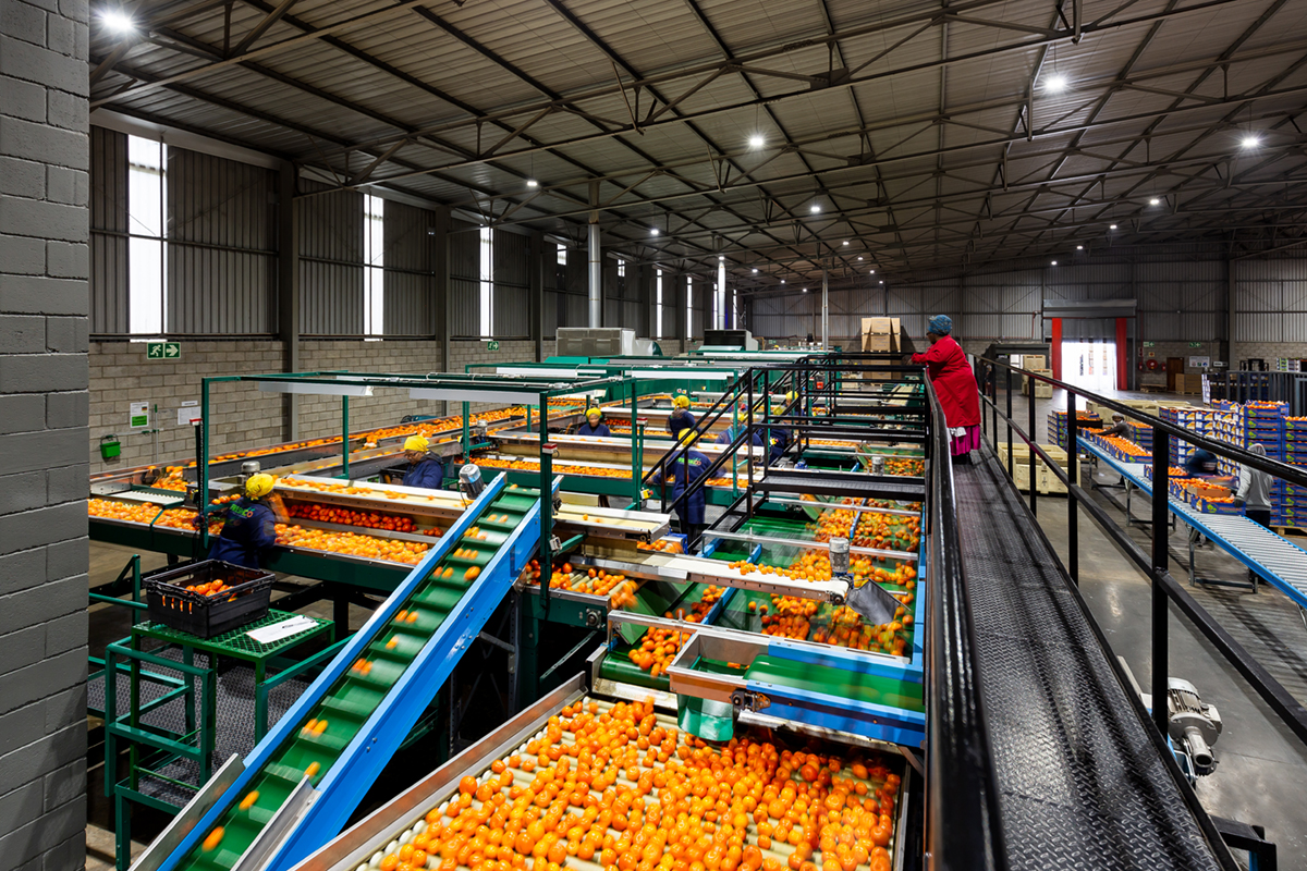 boomshak-marketing-production-video-photography-freshco-freshgro-citrus-addo-corporate-00011