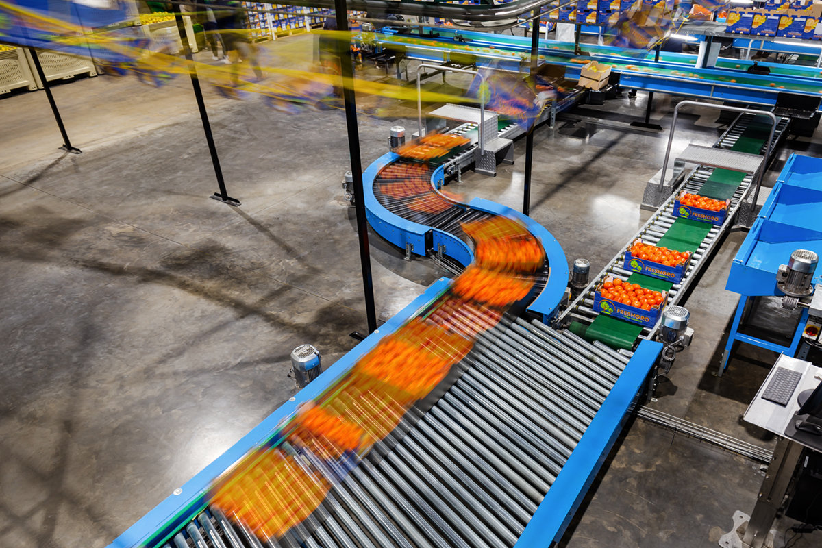 boomshak-marketing-production-video-photography-freshco-freshgro-citrus-addo-corporate-00012