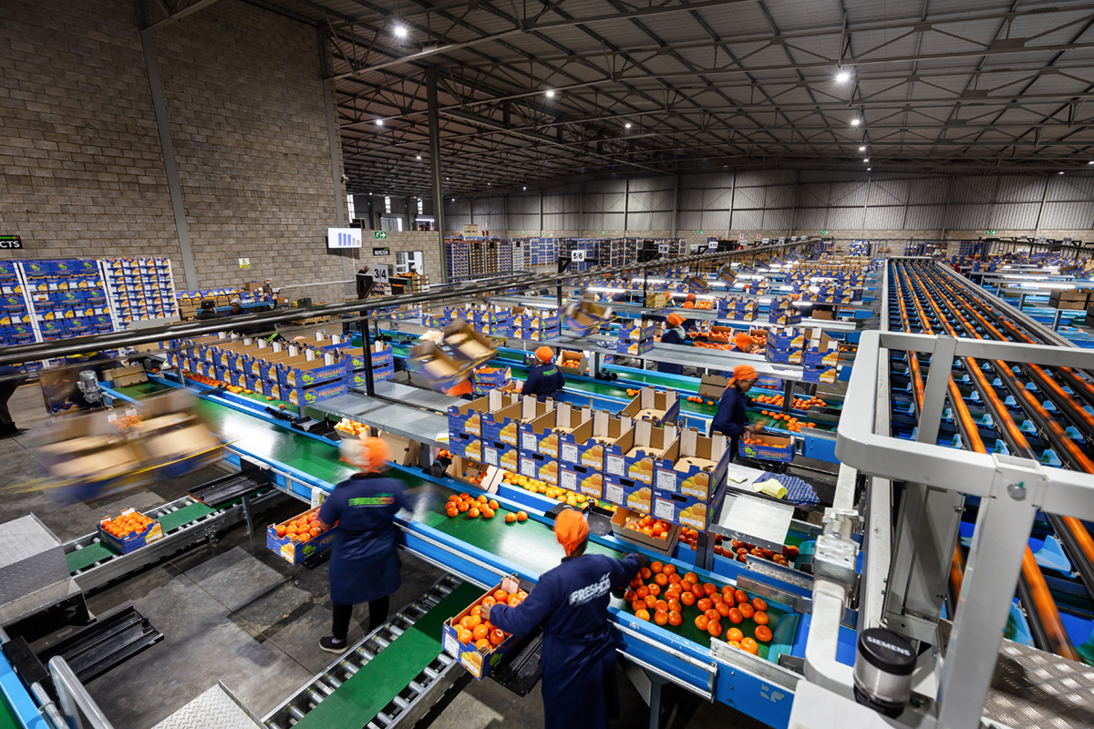 boomshak-marketing-production-video-photography-freshco-freshgro-citrus-addo-corporate-00015