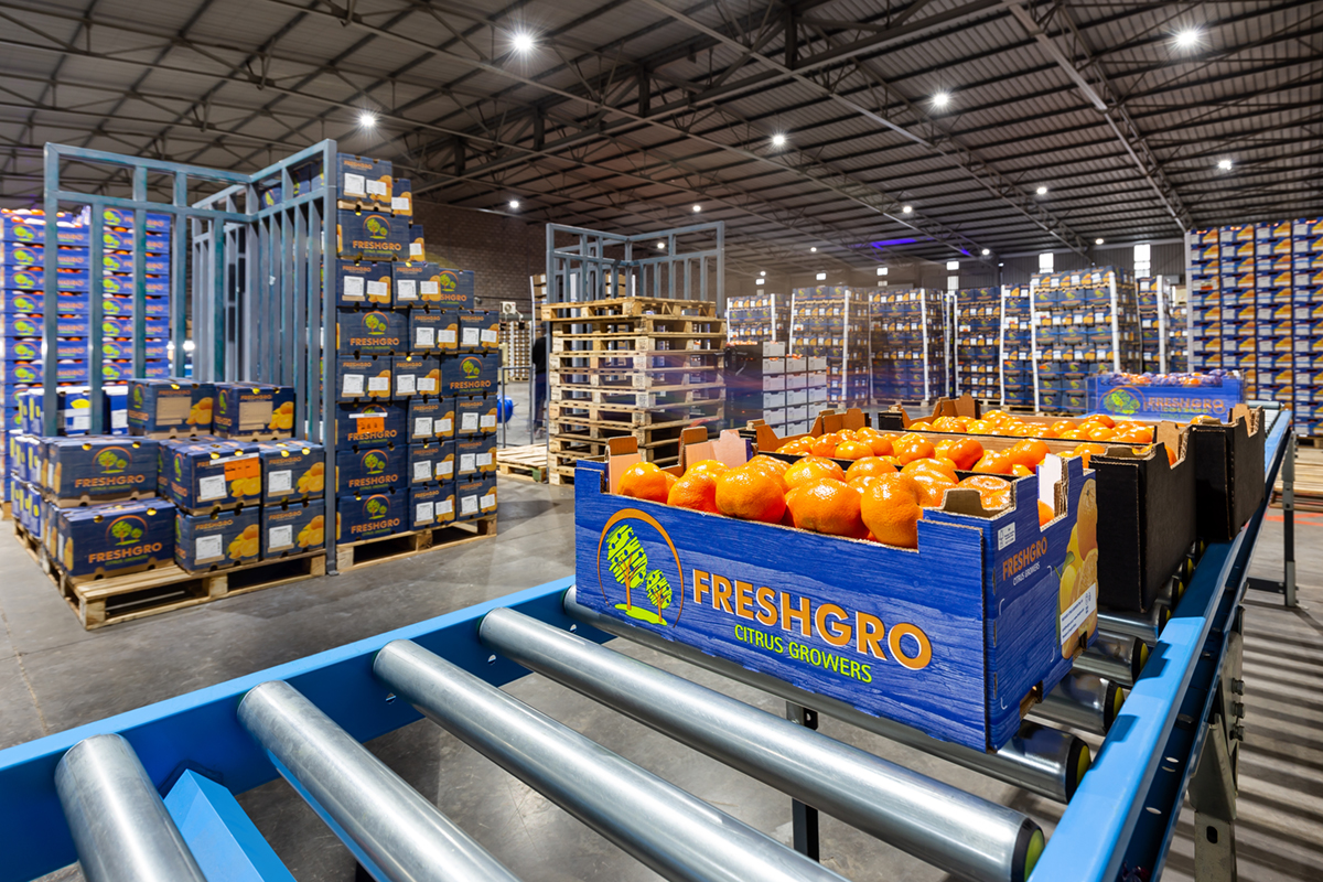 boomshak-marketing-production-video-photography-freshco-freshgro-citrus-addo-corporate-00017