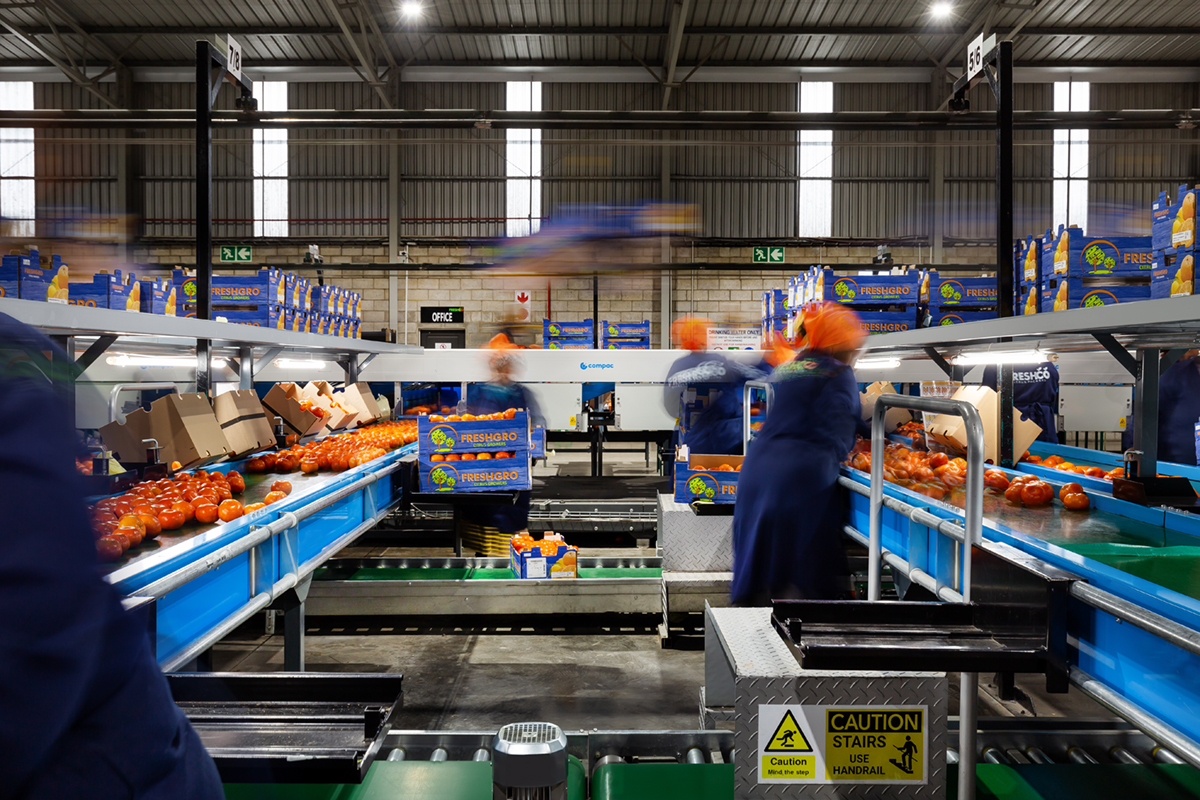 boomshak-marketing-production-video-photography-freshco-freshgro-citrus-addo-corporate-00018